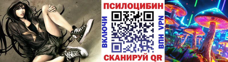 Псилоцибиновые грибы Psilocybine cubensis  Купить  Кизляр 